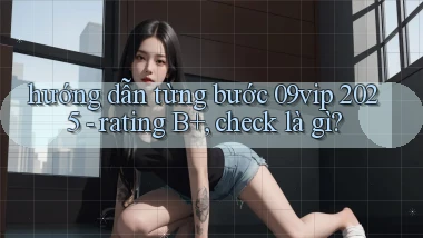 hướng dẫn từng bước 09vip 2025   rating B , check là gì