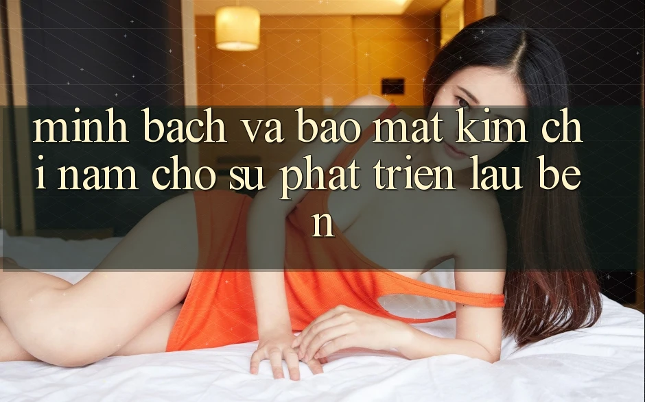 Minh bạch Và Bảo Mật - Kim Chỉ Nam Cho Sự Phát Triển Lâu bền Minh bạch Và Bảo Mật - Kim Chỉ Nam Cho Sự Phát Triển Lâu bền